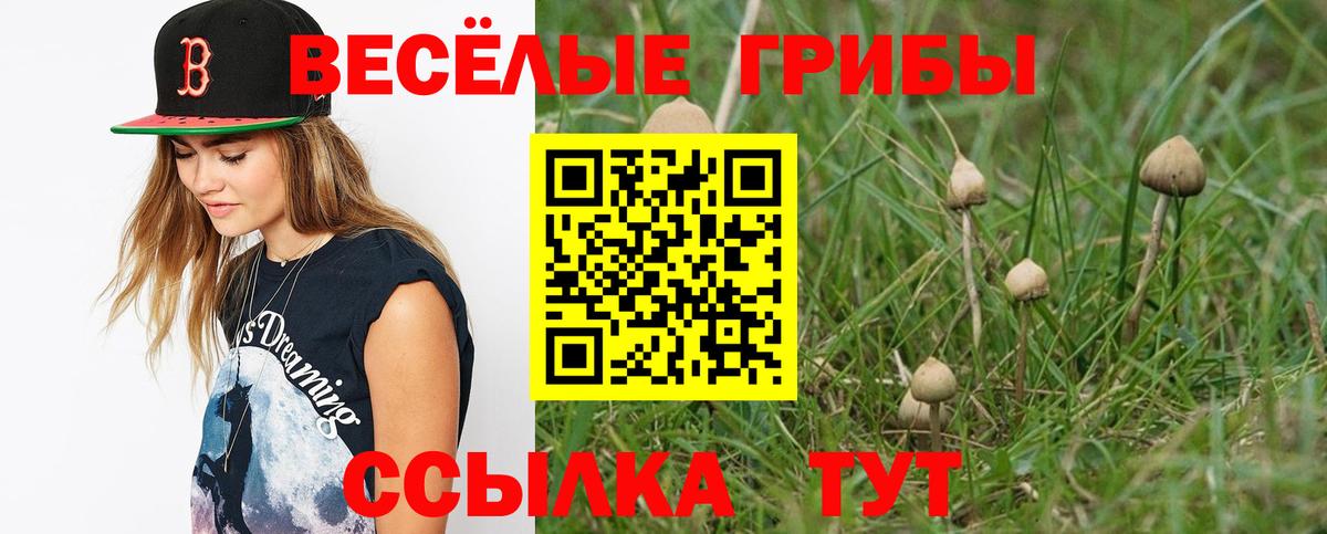 Псилоцибиновые грибы Magic Shrooms  Вход с VPN  Ливны 
